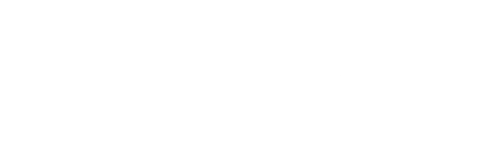 Shanti Palmer–Logo (White–Landscape)